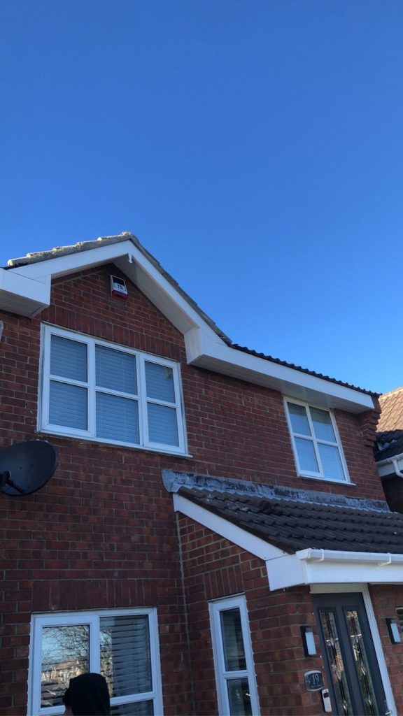 New Fascia