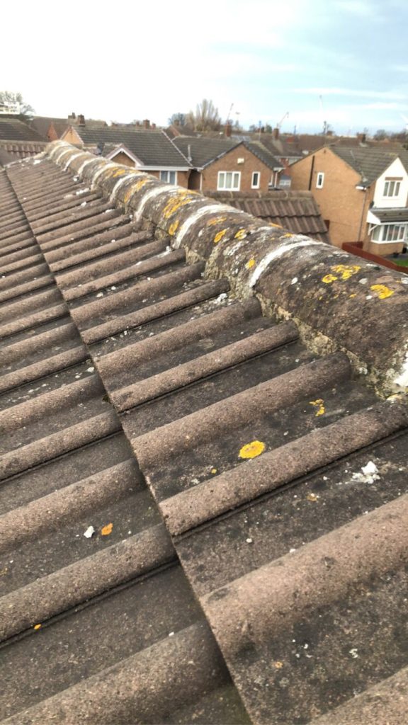 Old Ridge Tiles