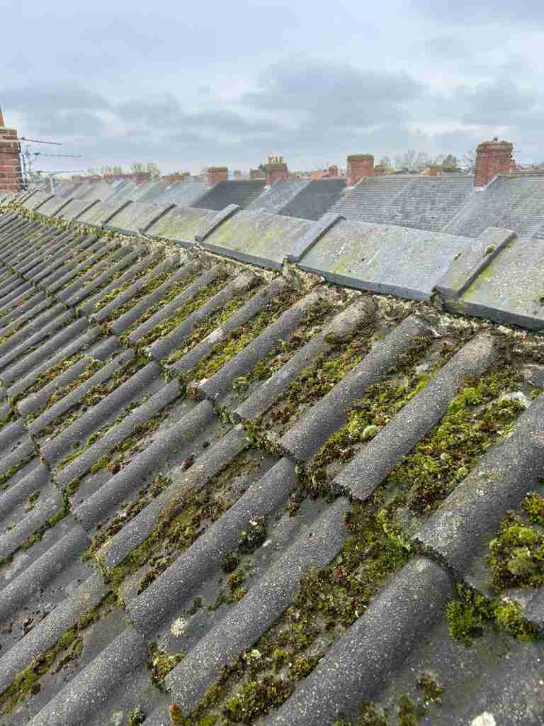 Local Roofer