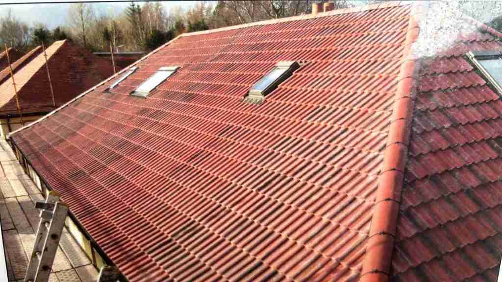 Local Roofer