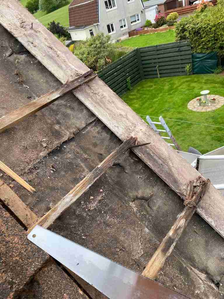 New Roof
