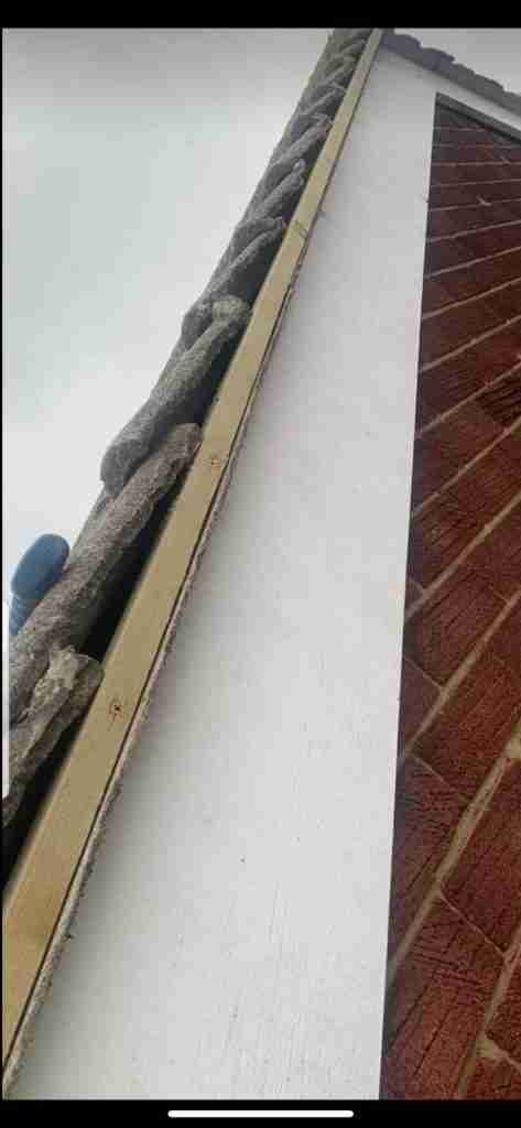 Local Roofer